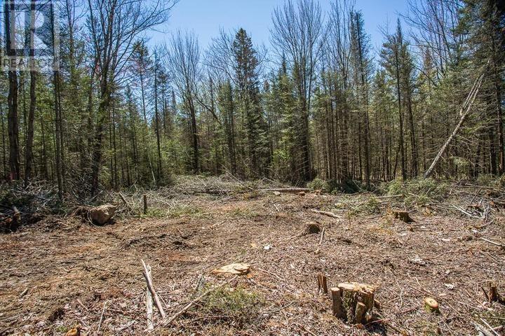 161 Concession Road 5, Plummer Additional Township Property Photo 17