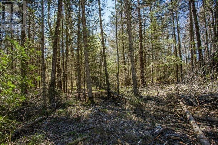 161 Concession Road 5, Plummer Additional Township Property Photo 18