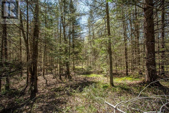 161 Concession Road 5, Plummer Additional Township Property Photo 19