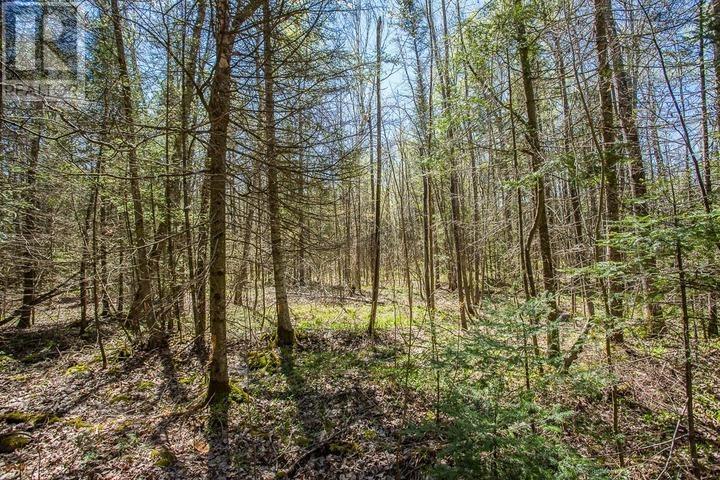 161 Concession Road 5, Plummer Additional Township Property Photo 20