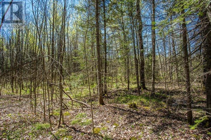 161 Concession Road 5, Plummer Additional Township Property Photo 21