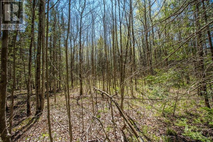 161 Concession Road 5, Plummer Additional Township Property Photo 22