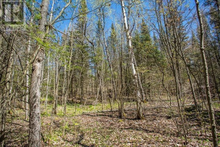 161 Concession Road 5, Plummer Additional Township Property Photo 23