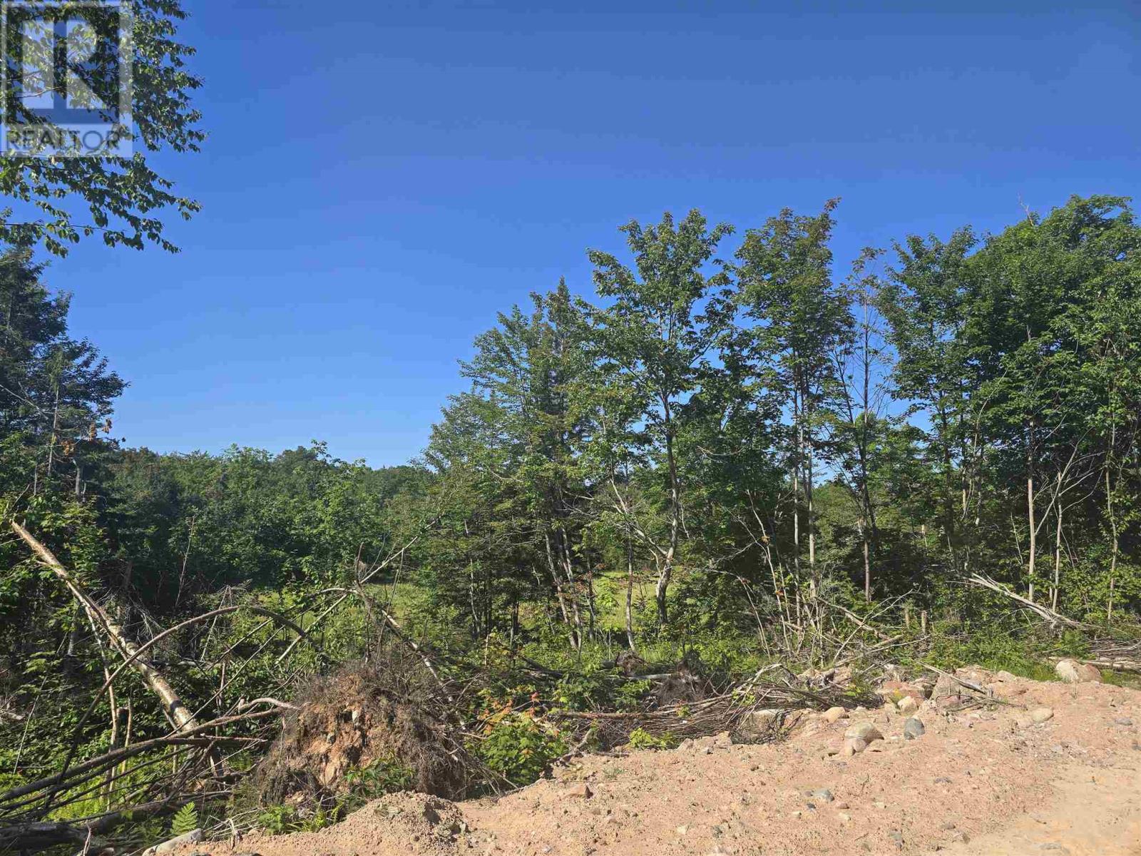 417 Creek Rd Property Photo 1