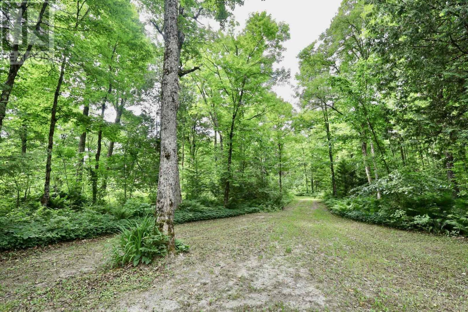 190 Byes Side Rd Property Photo 17