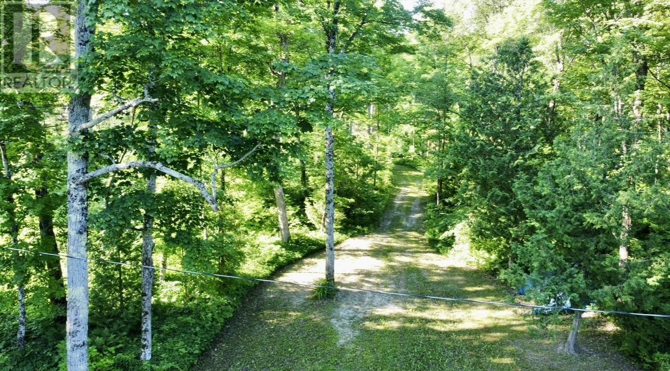 190 Byes Side Rd Property Photo 33