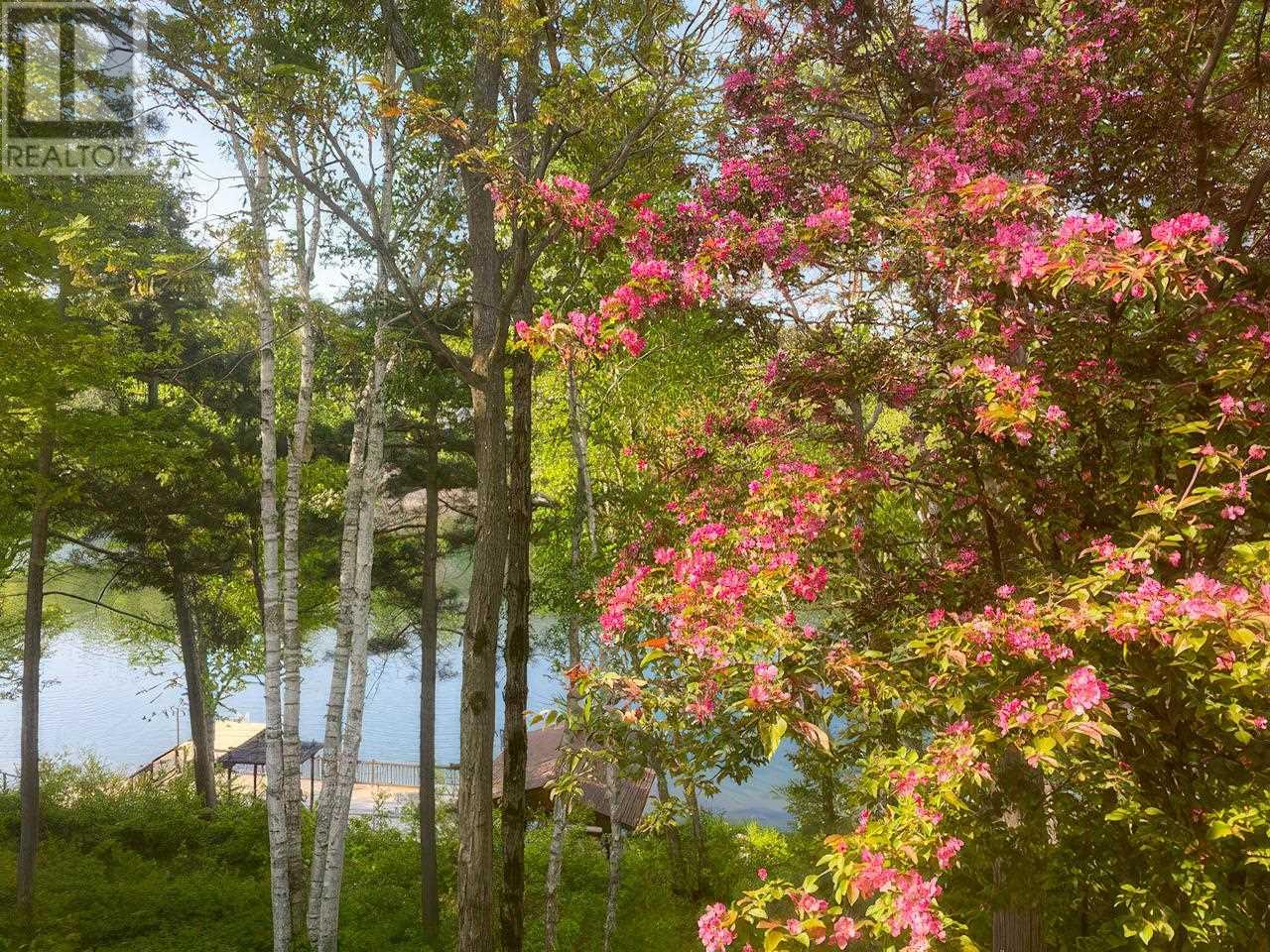 1161 Lau Camp Rd Property Photo 46