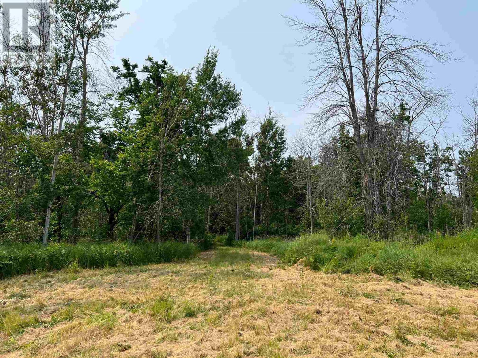 Part 2 Nelson Dr Property Photo 31