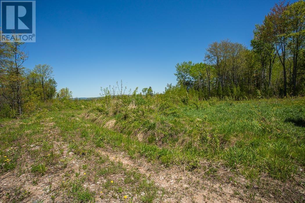 76 Calabogie Rd, Laird Township Property Photo 25