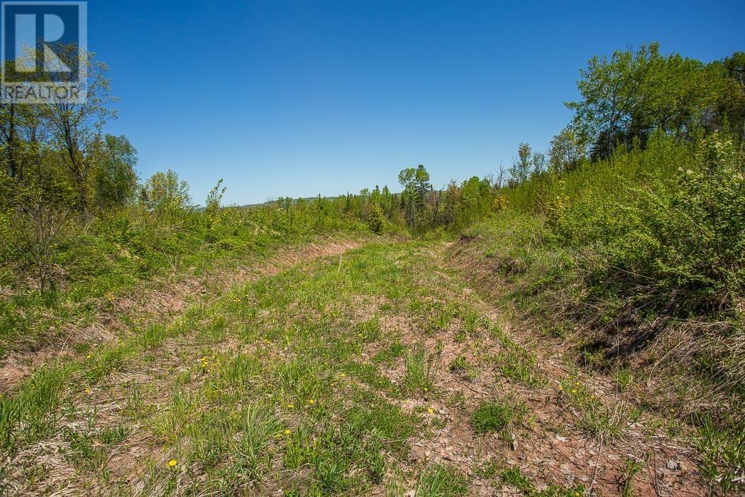 76 Calabogie Rd, Laird Township Property Photo 26