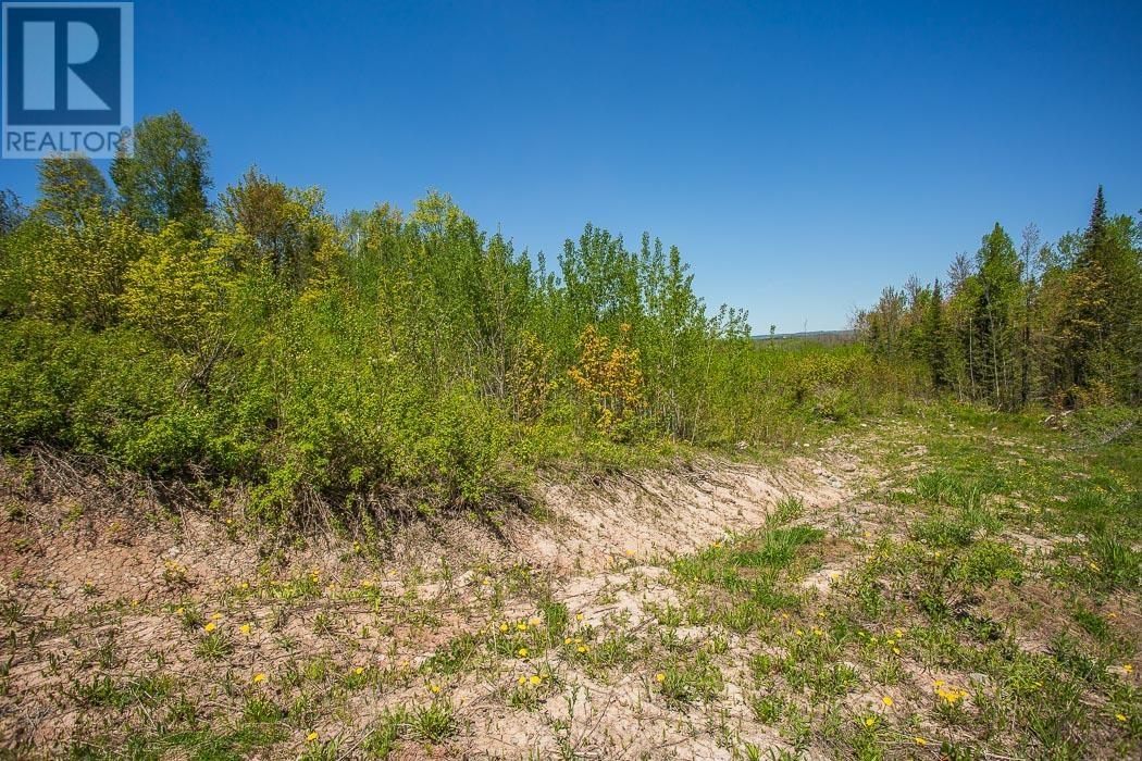 76 Calabogie Rd, Laird Township Property Photo 28