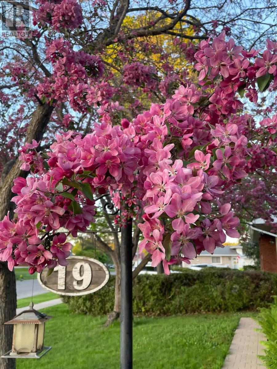 19 Illinois Ave Property Photo 39
