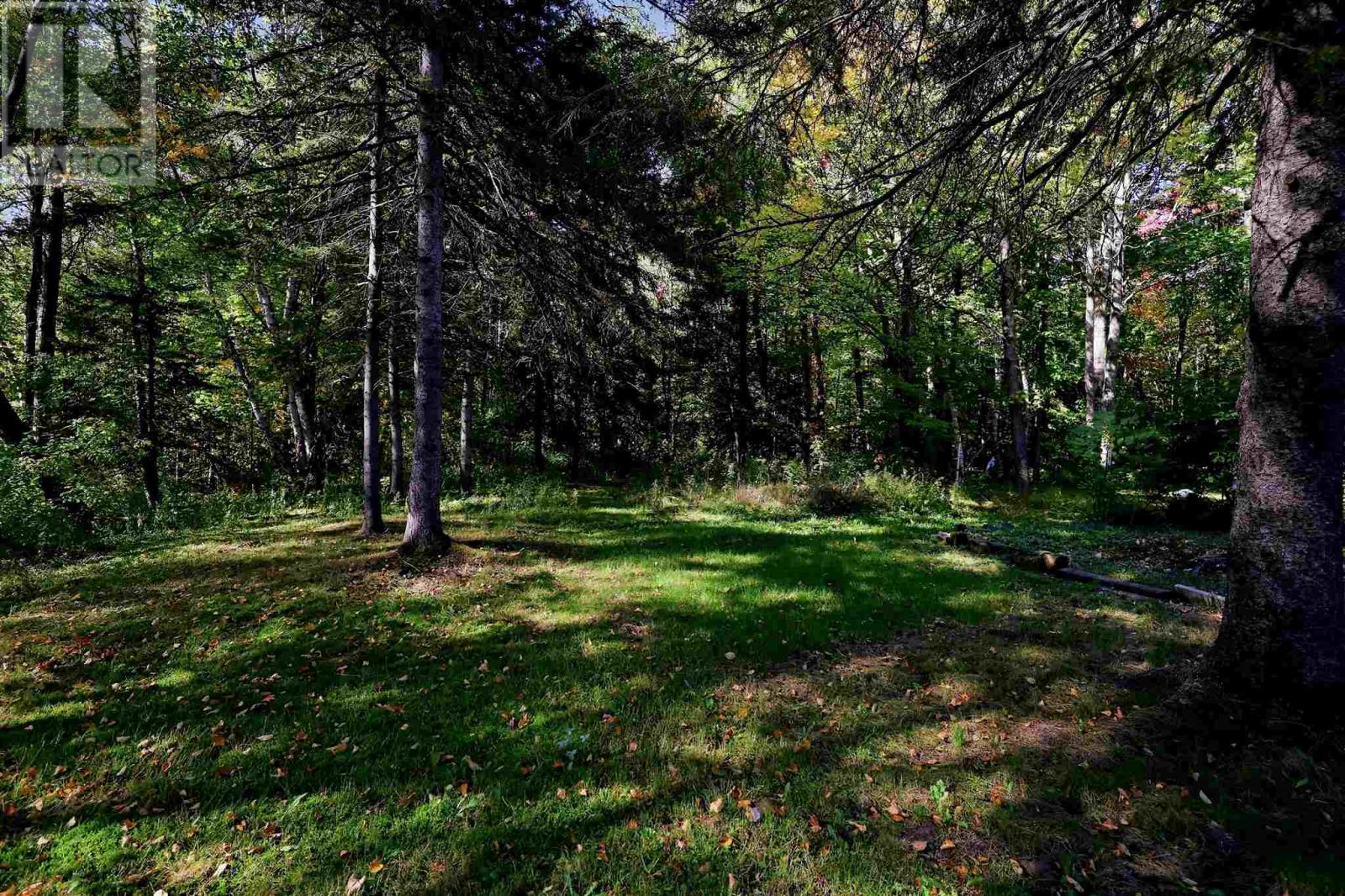 67 Westridge Rd Property Photo 35