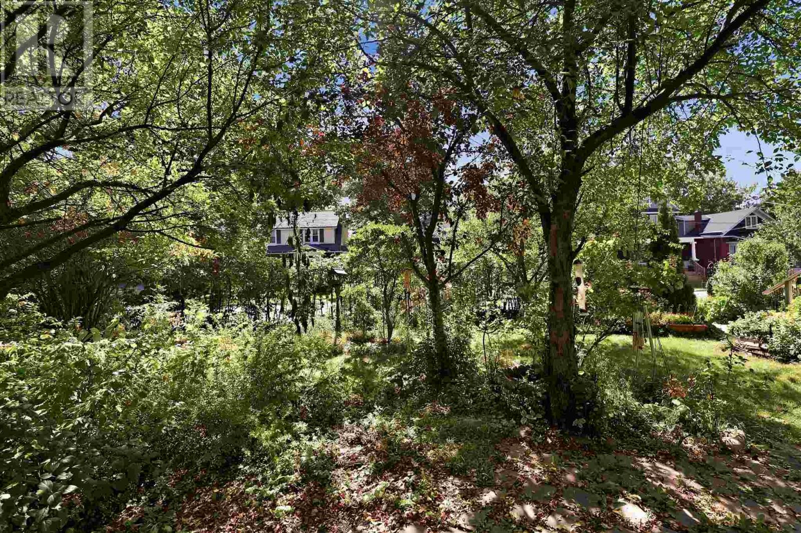 40 Euclid Rd Property Photo 35