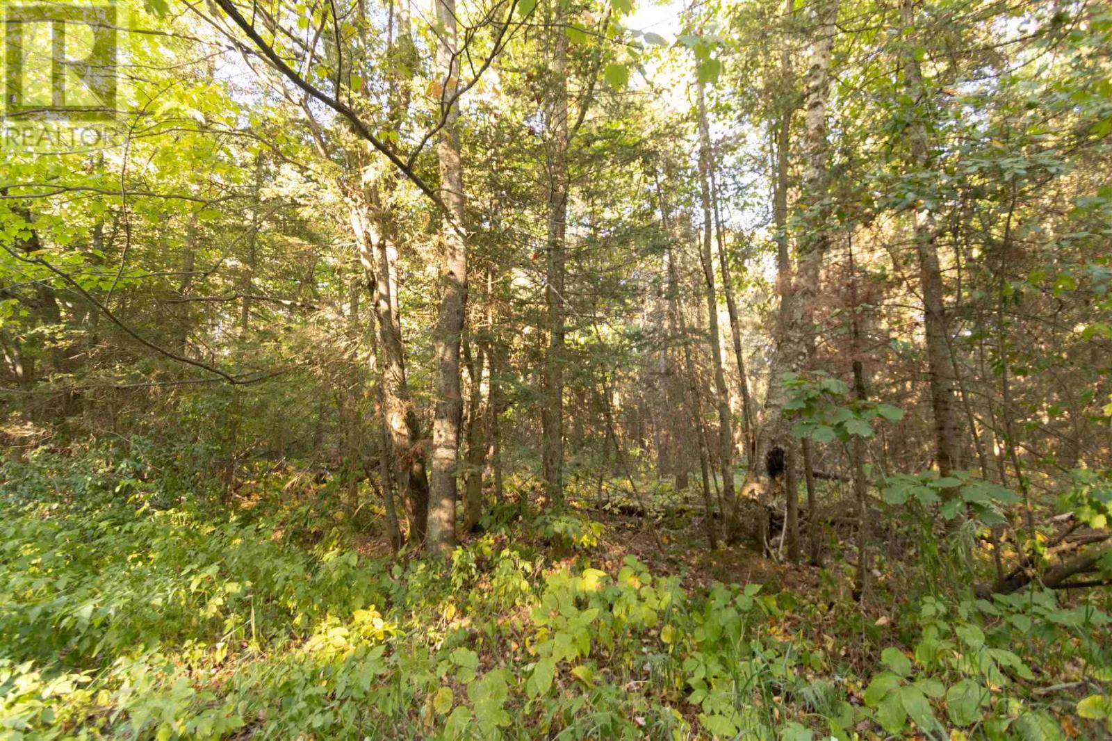 Lot 14&15 Nokomis Beach Rd Property Photo 7