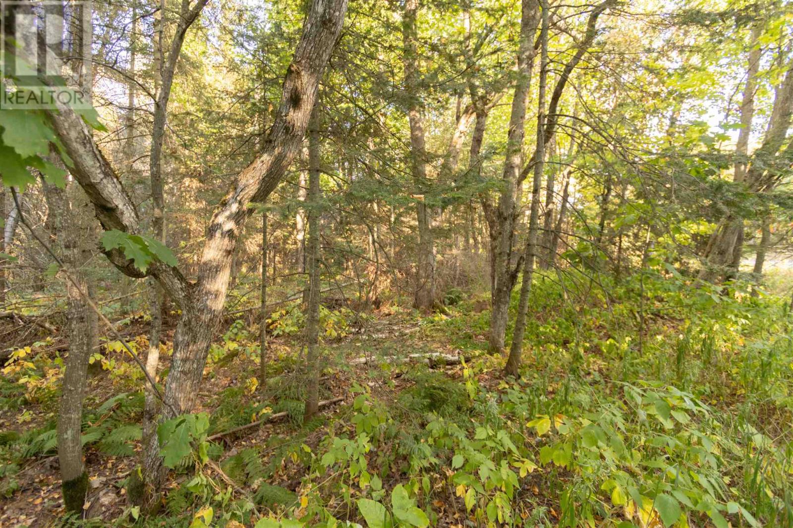 Lot 14&15 Nokomis Beach Rd Property Photo 8