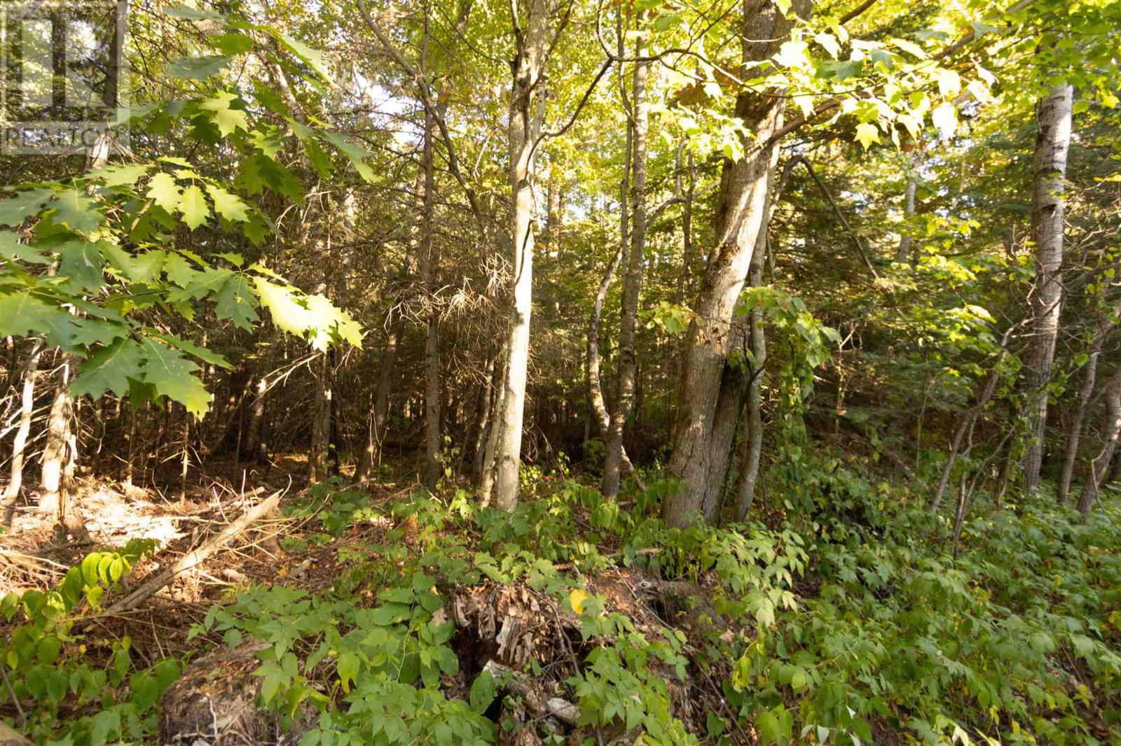 Lot 16 Nokomis Beach Rd Property Photo 3