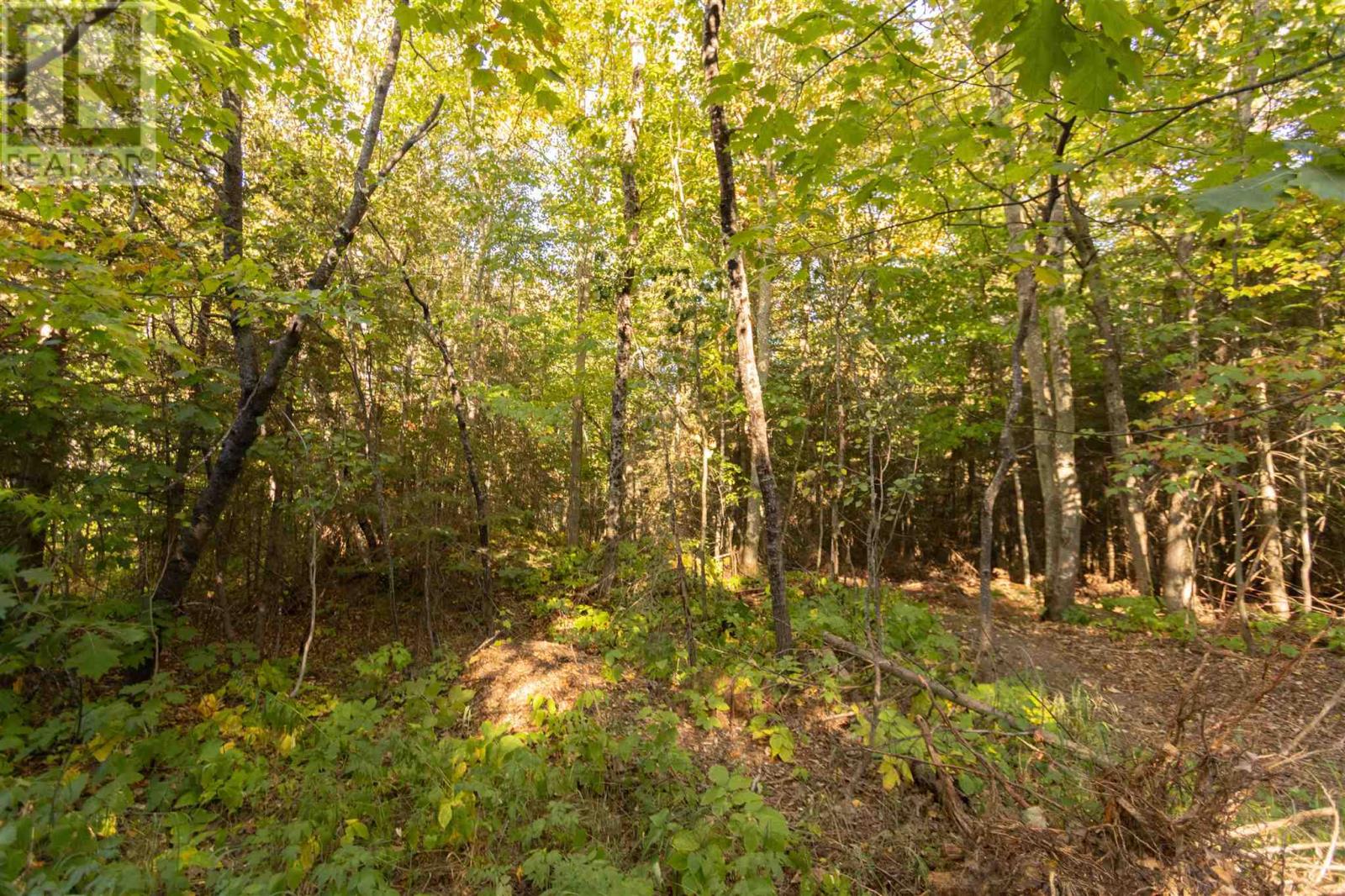 Lot 16 Nokomis Beach Rd Property Photo 4