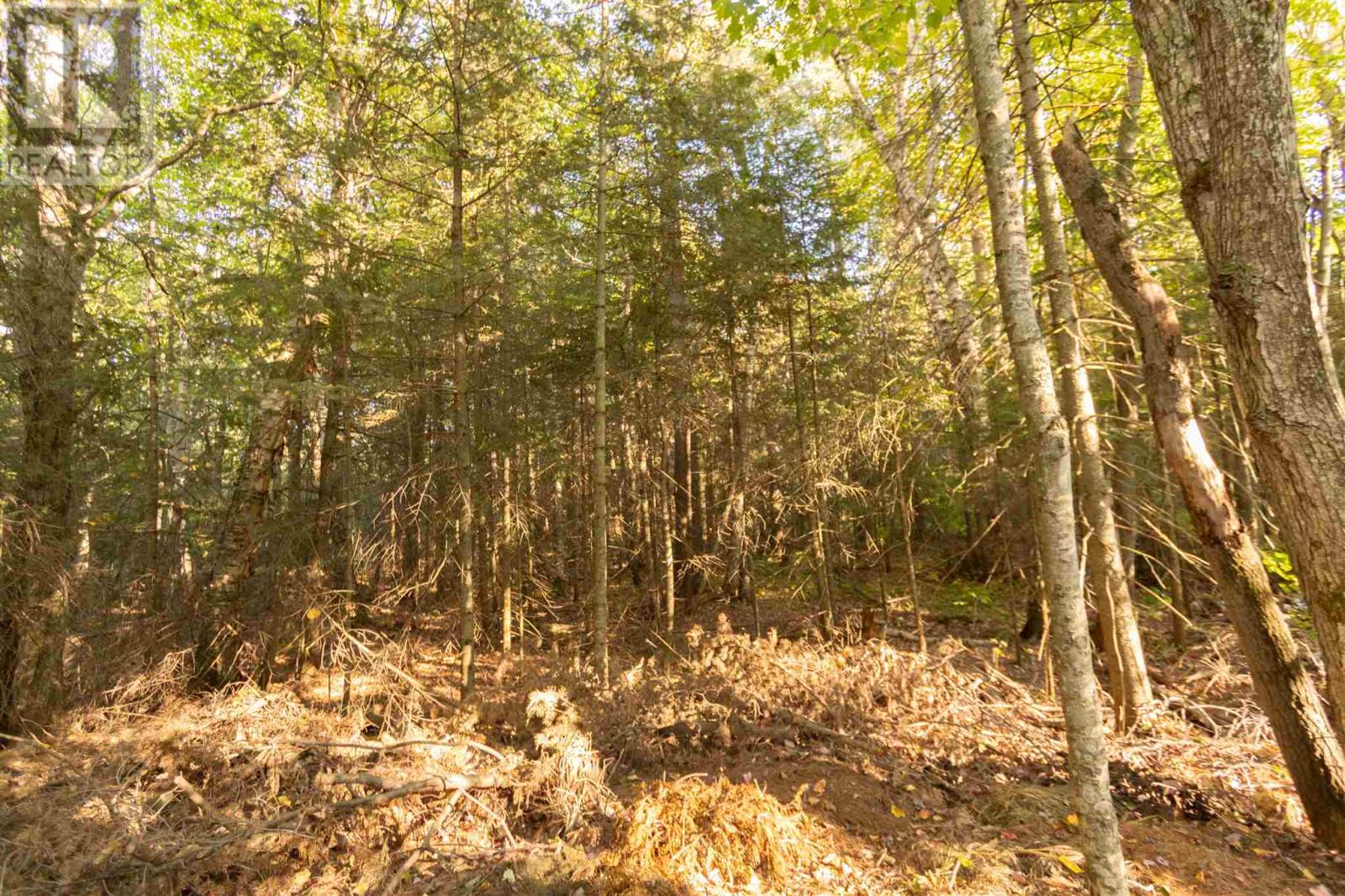 Lot 16 Nokomis Beach Rd Property Photo 6
