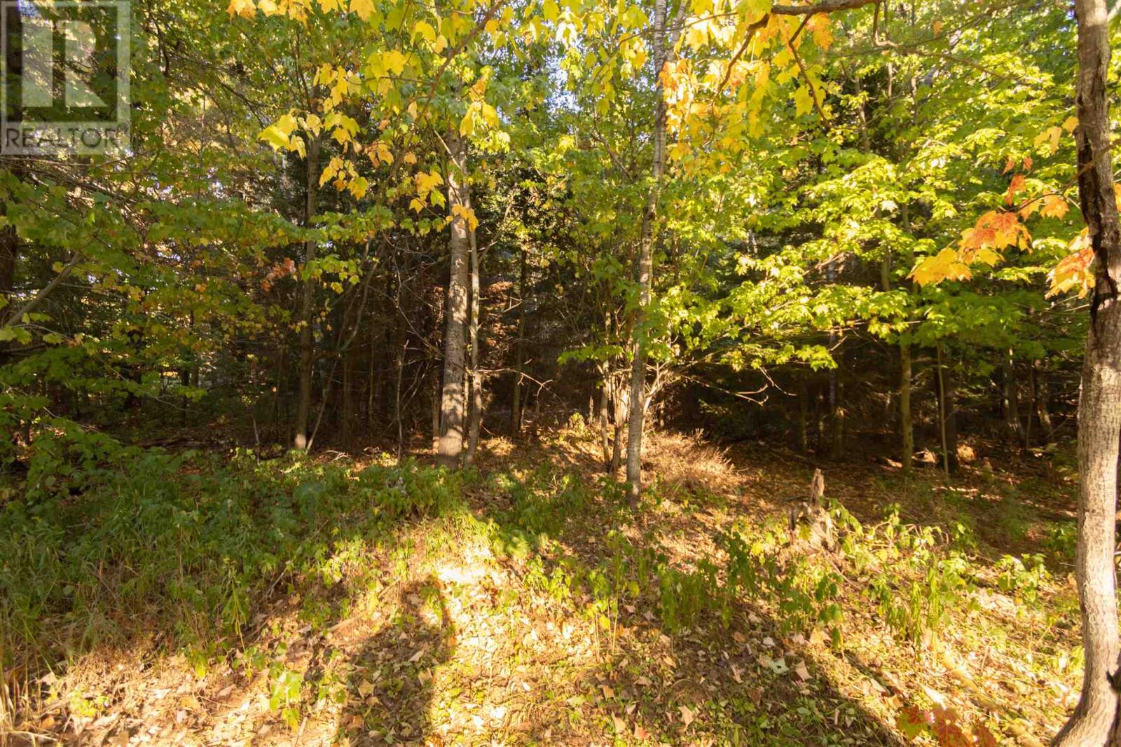 Lot 18 Nokomis Beach Rd Property Photo 5
