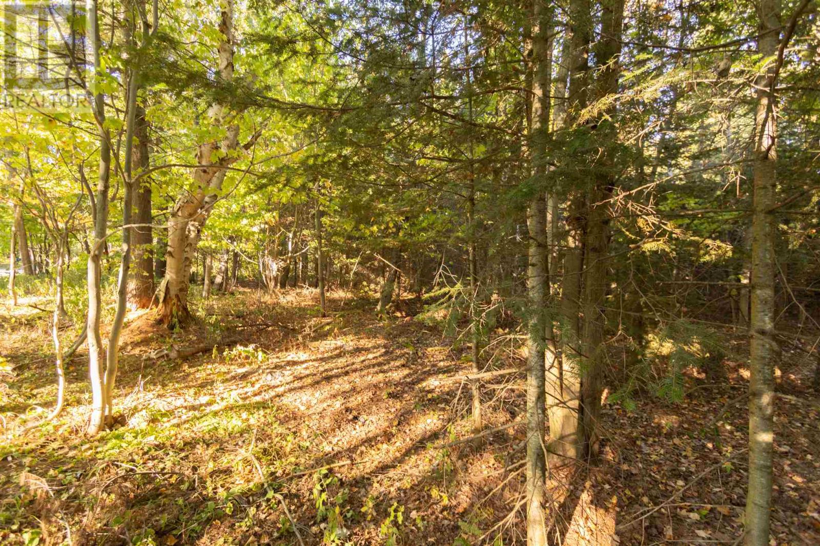 Lot 18 Nokomis Beach Rd Property Photo 6