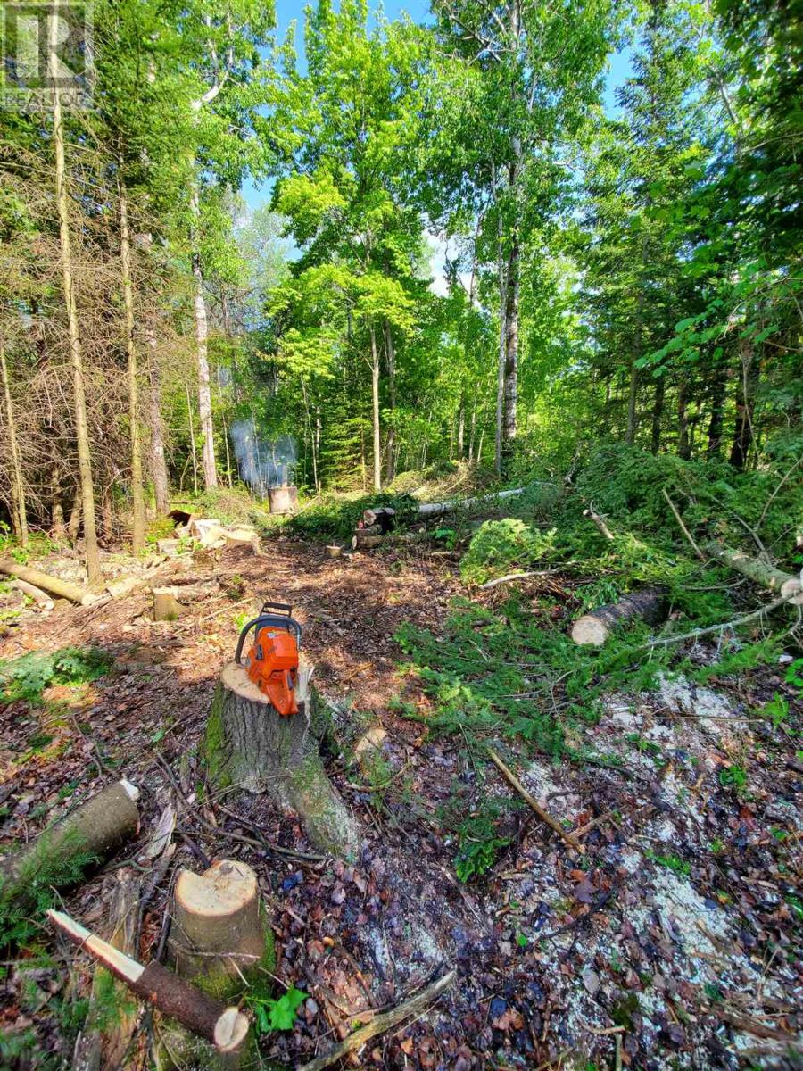 Lot 53 Lakeshore Dr S Property Photo 2