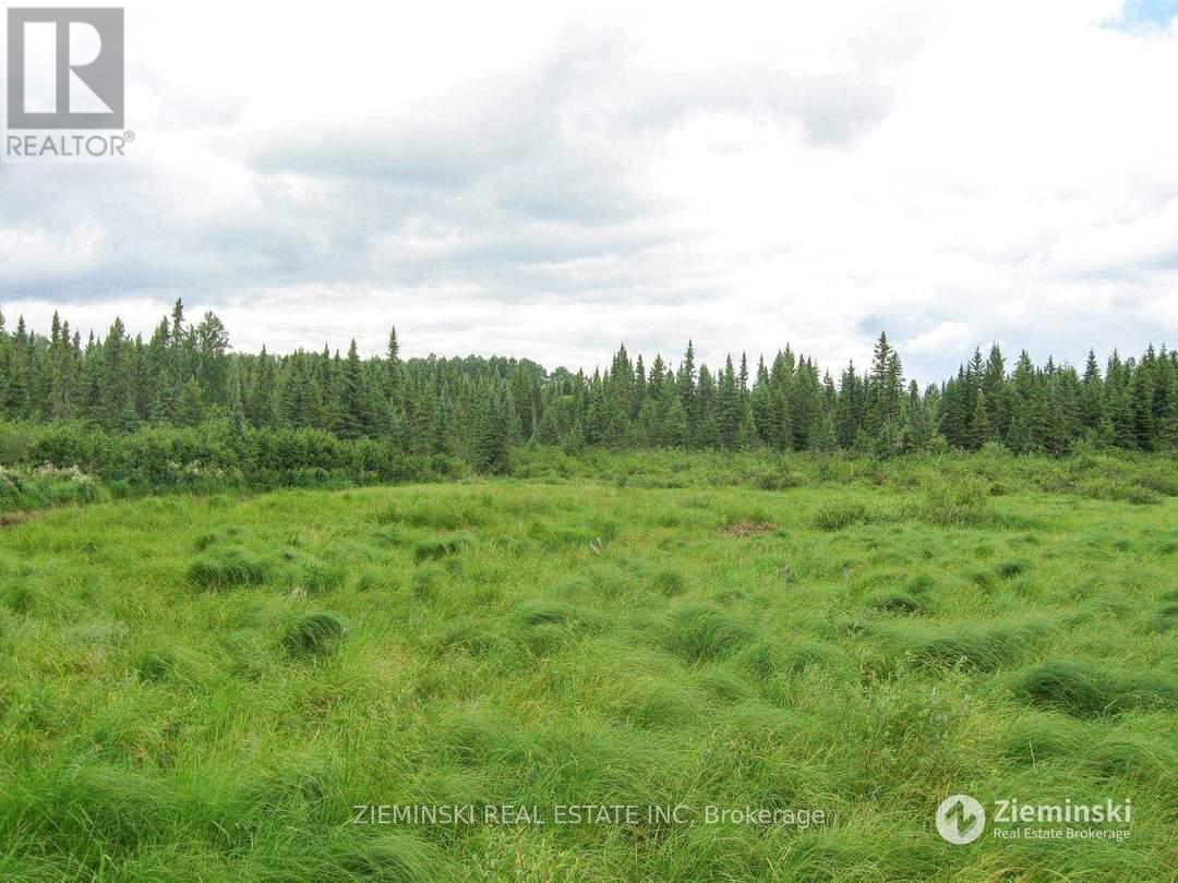 Lt 11 Con 3 Murphy Twshp Acres Property Photo 5