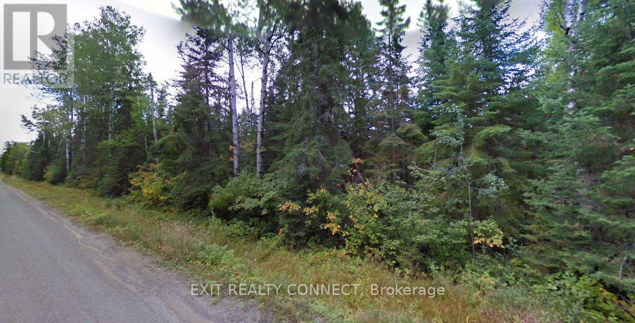 0 Kenogami Lane Property Photo 2