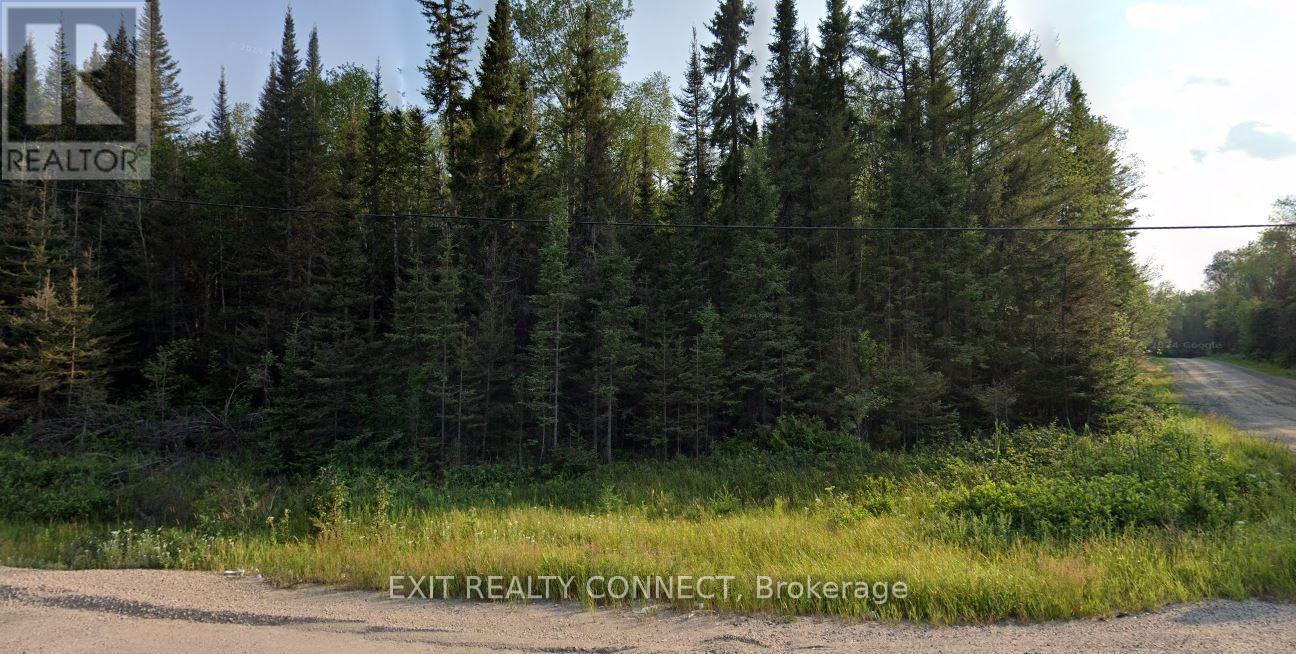 0 Kenogami Lane Property Photo 3