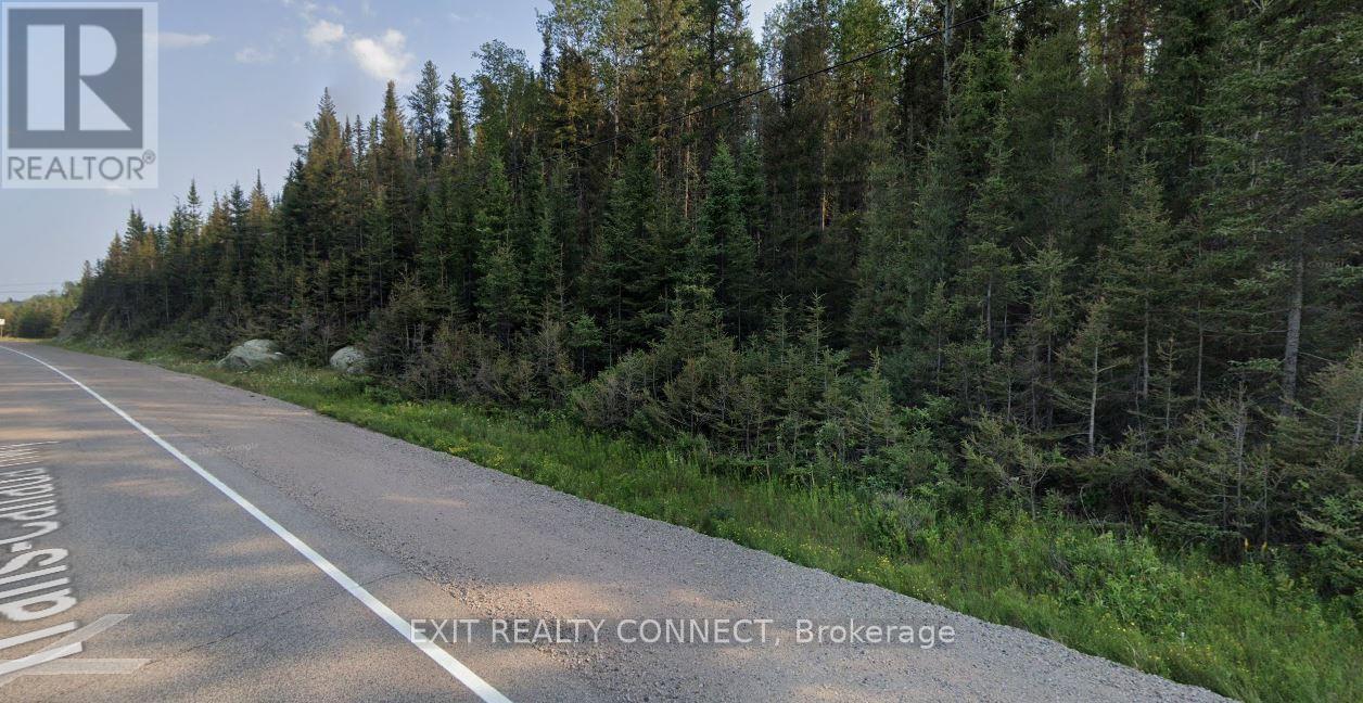 0 Kenogami Lane Property Photo 4