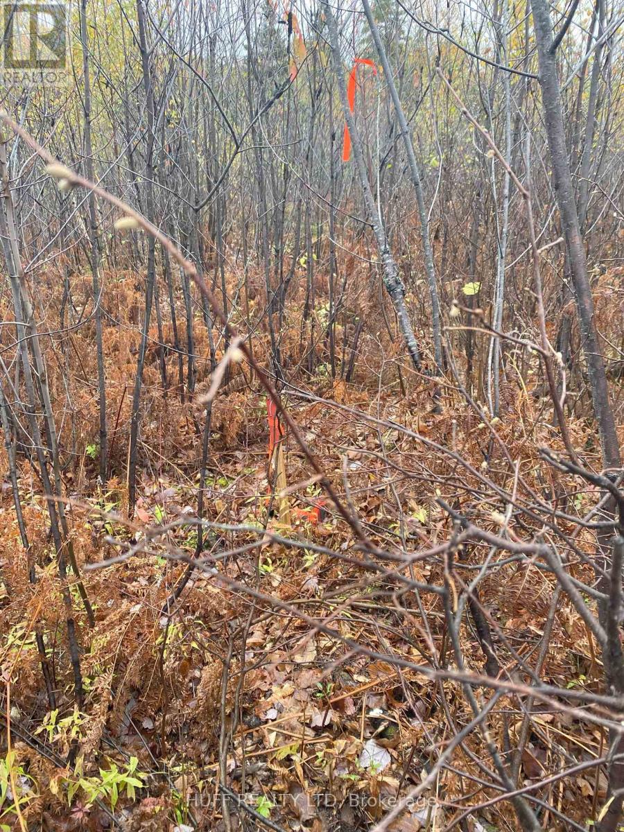 LT 1 CON 6 54R-6390 LOT 1 CON 6 MARTER TWP ROAD