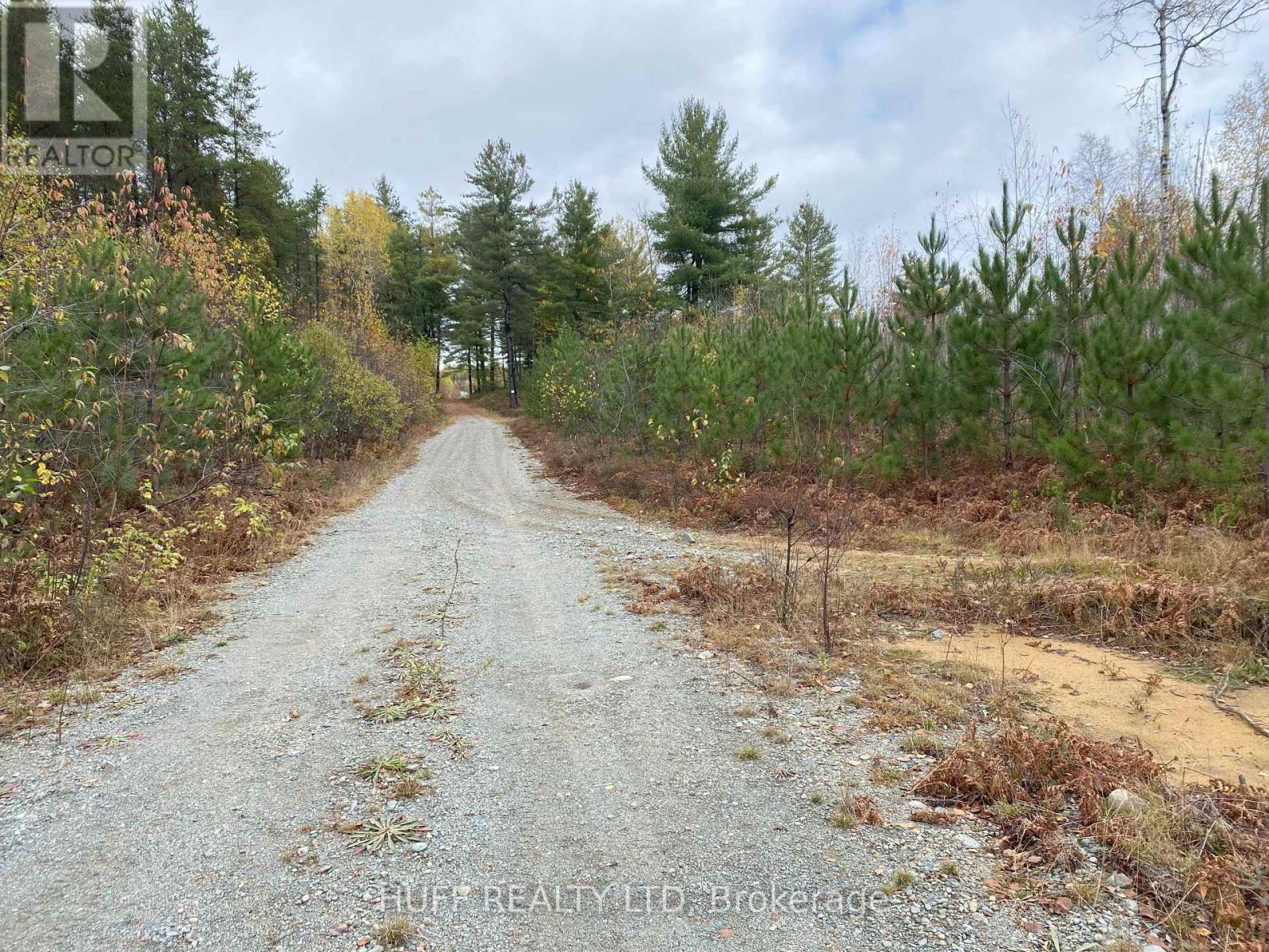 Lot 1 Con 5 Marter 54r-6396 Road Property Photo 1