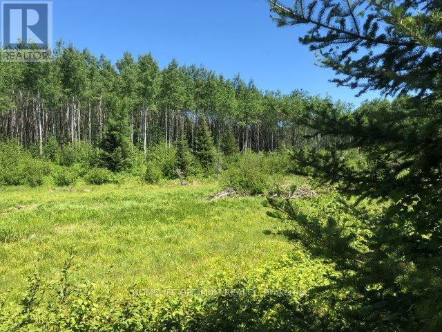 38.24 Acres In Ogden Township - Pcl 24640 Property Photo 1