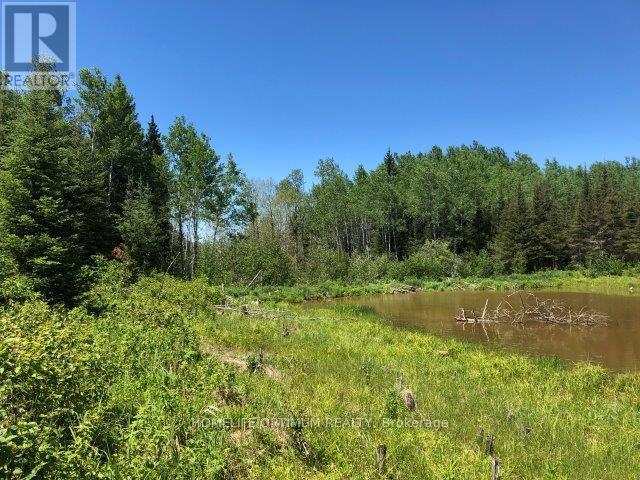 38.24 Acres In Ogden Township - Pcl 24640 Property Photo 2