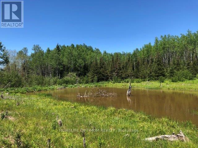 38.24 Acres In Ogden Township - Pcl 24640 Property Photo 3