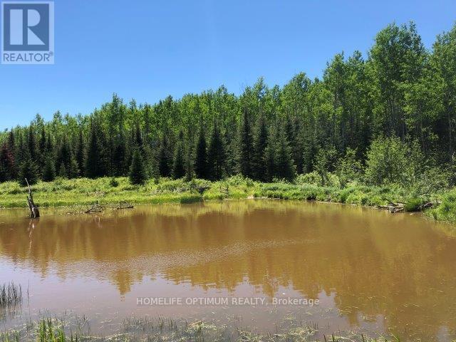 38.24 Acres In Ogden Township - Pcl 24640 Property Photo 5