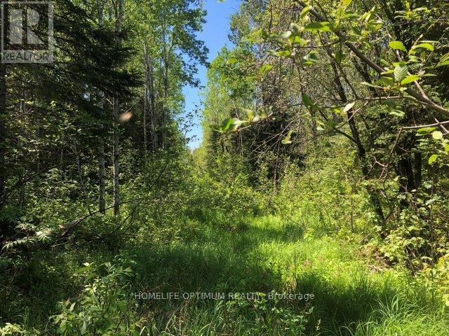 38.24 Acres In Ogden Township - Pcl 24640 Property Photo 6