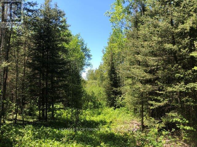 38.24 Acres In Ogden Township - Pcl 24640 Property Photo 8