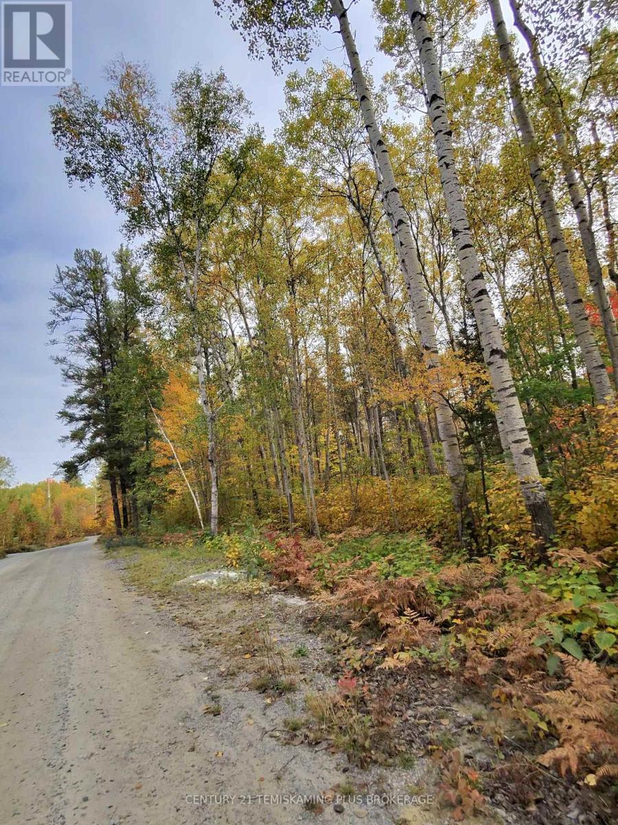 PART 12 GIRL GUIDE ROAD