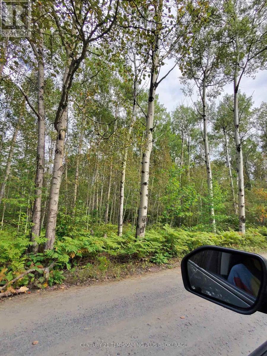 PART 13 GIRL GUIDE ROAD