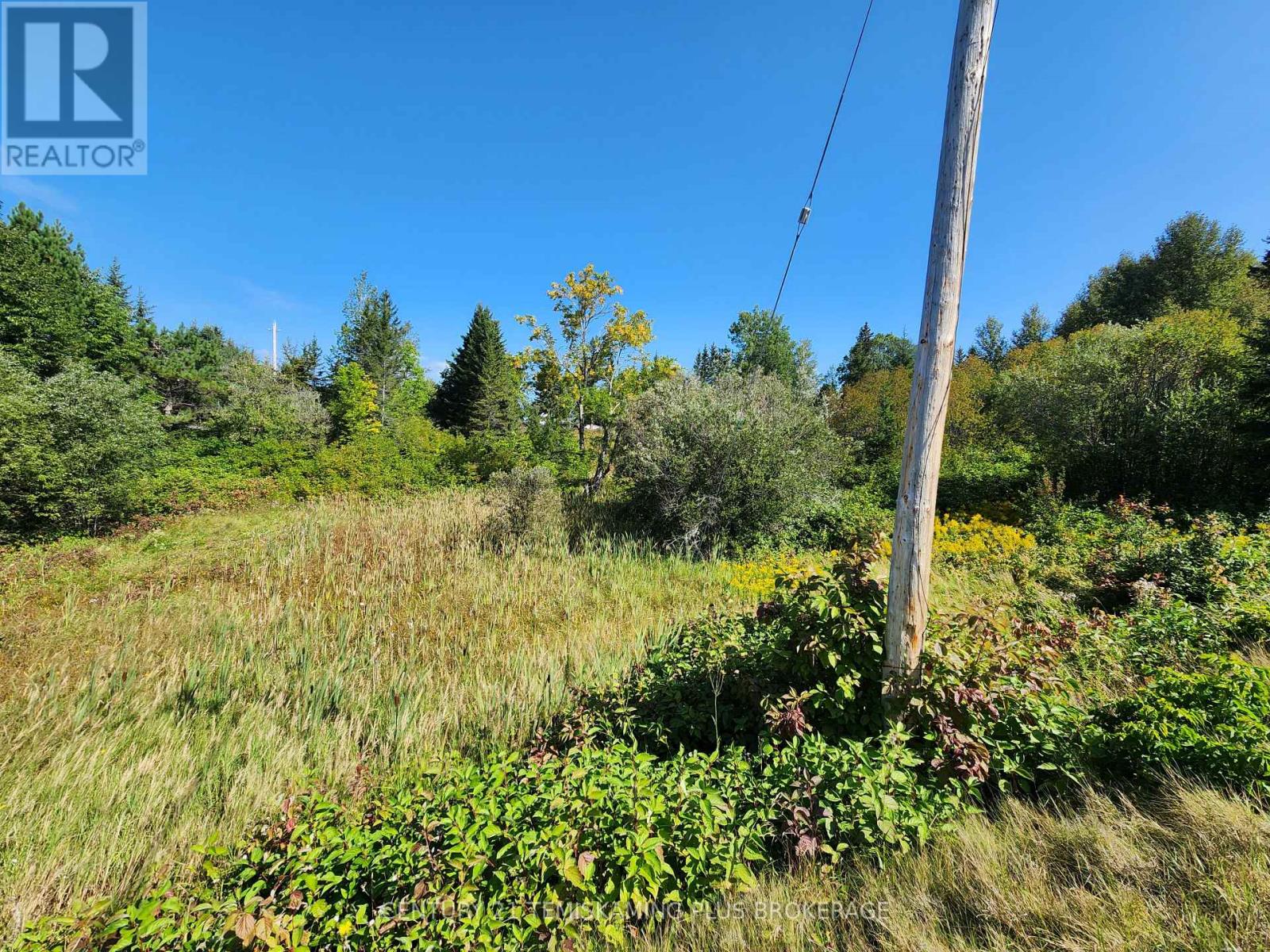 Lt10-12 Main Street Property Photo 10