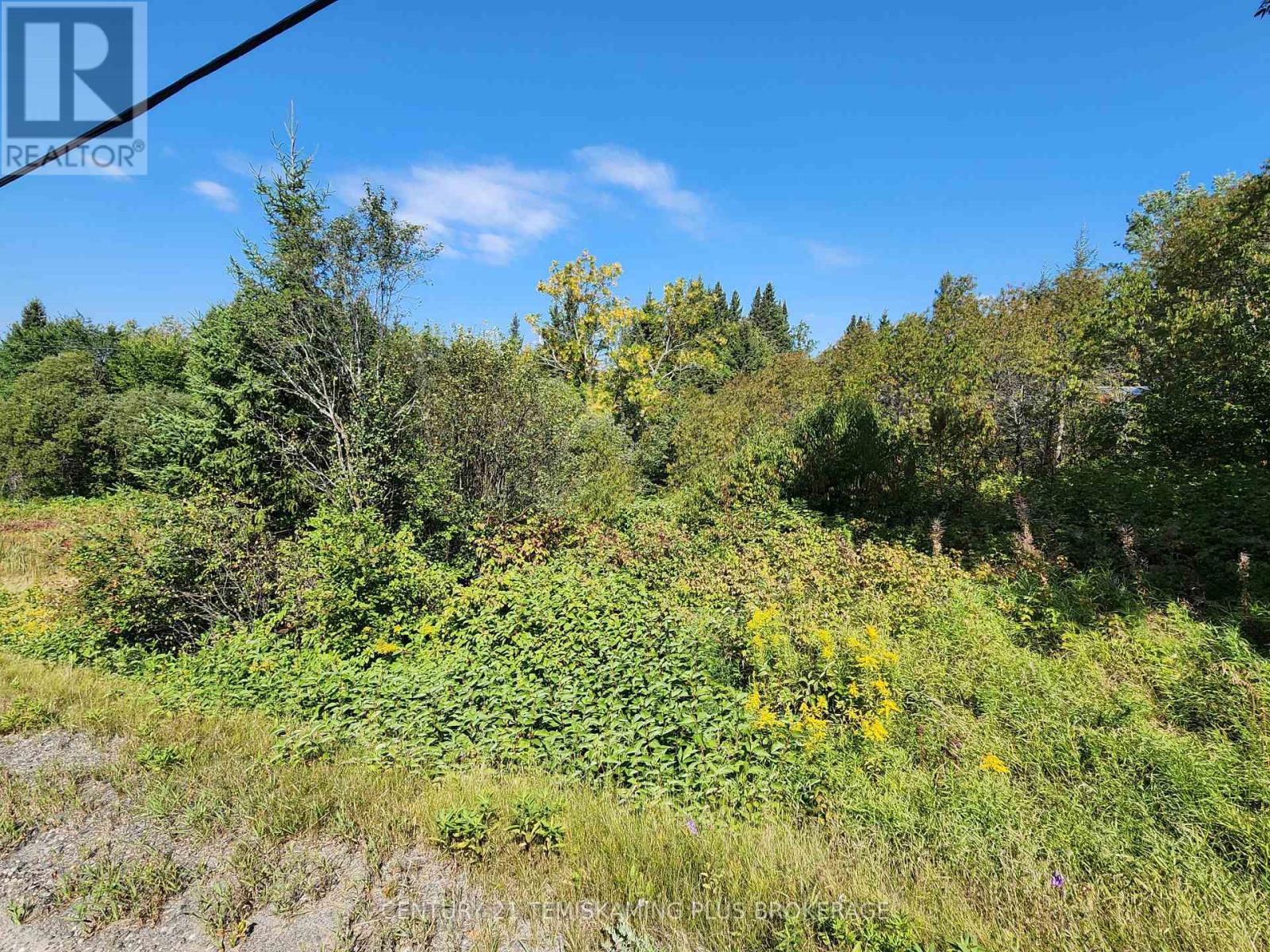 Lt10-12 Main Street Property Photo 12
