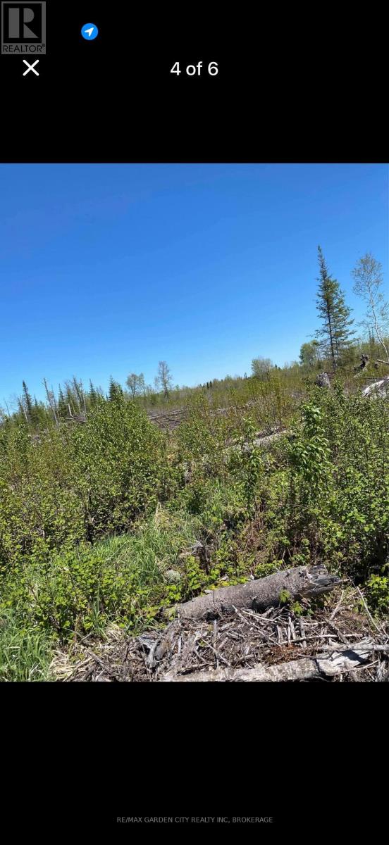 Pt Lt 11 Con 6 Fournier Trans Canada Highway 11 Highway Property Photo 4