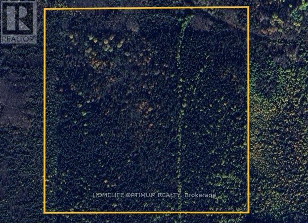 Sw 1/4 Of N 1/2 Lt 6 Con5 Hoyle Township Pcl 14974 Property Photo 2