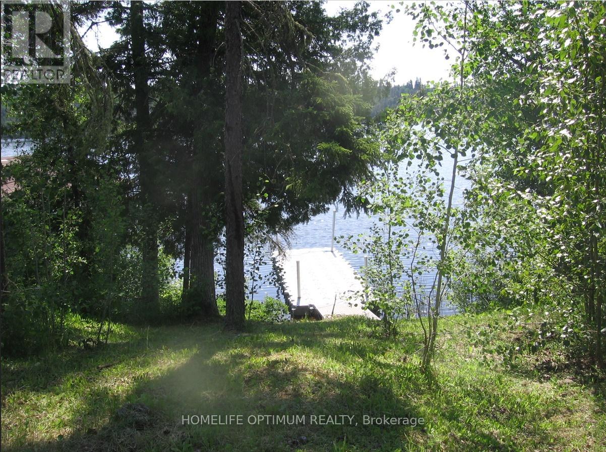 Lots 13&14 Departure Lake Road Property Photo 29