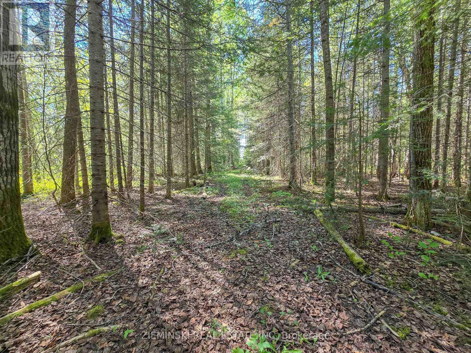 Lot 14 Con 9 Blount Twsp Property Photo 5