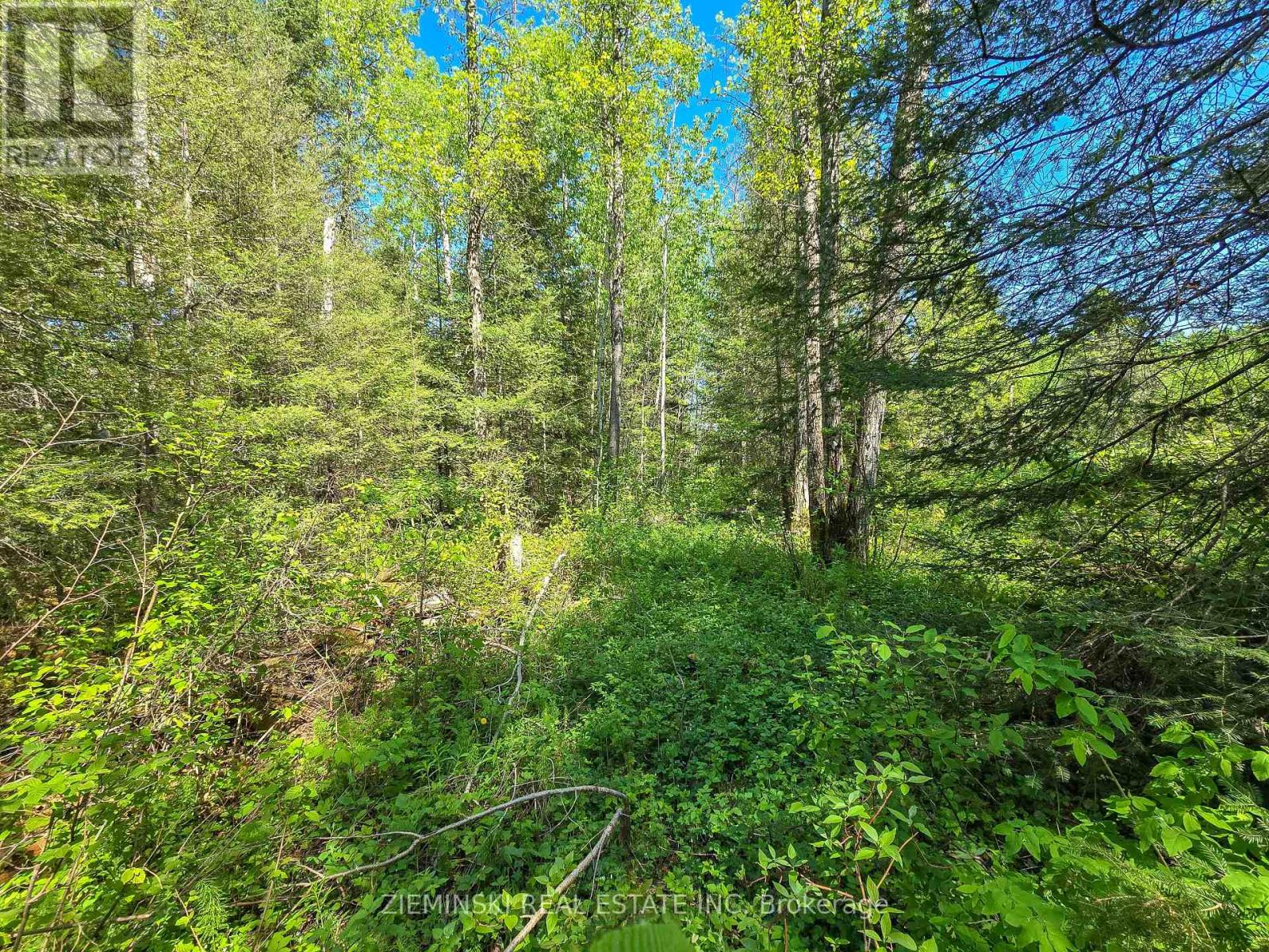 Lot 14 Con 9 Blount Twsp Property Photo 6