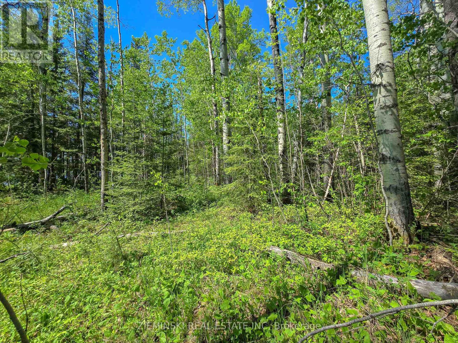 Lot 14 Con 9 Blount Twsp Property Photo 7