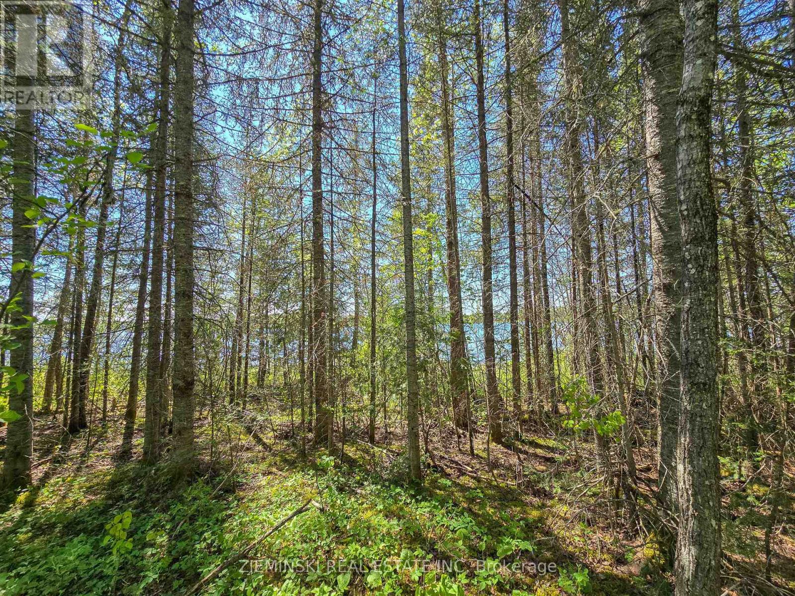 Lot 14 Con 9 Blount Twsp Property Photo 8