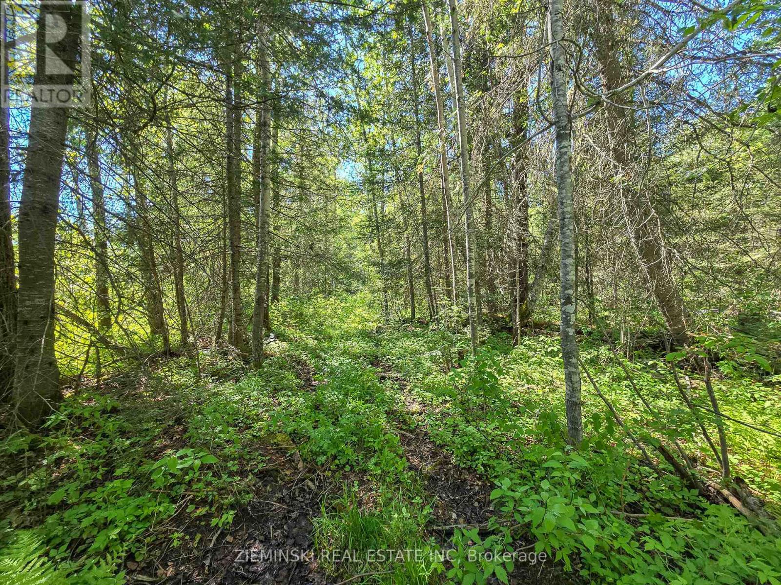 Lot 14 Con 9 Blount Twsp Property Photo 10